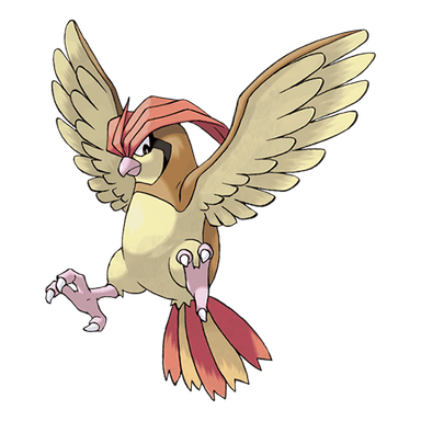 Image of pidgeotto