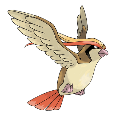 Image of pidgeot