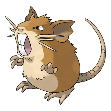 Image of raticate