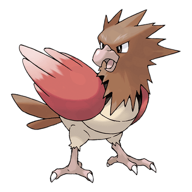 Image of spearow